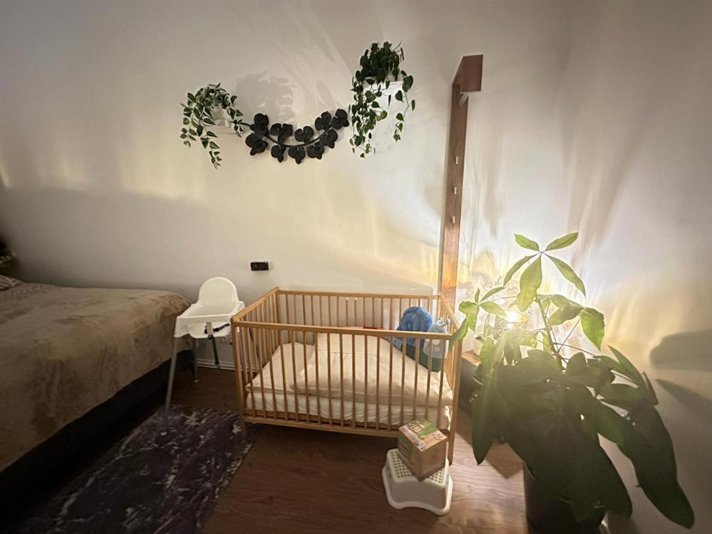 Ferienwohnung Marion Klagenfurt Zentrumsnaehe Klagenfurt am Woerthersee ภายนอก รูปภาพ